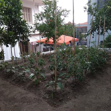 נאוס מרמרס Anastasia' S Guest House מראה חיצוני תמונה
