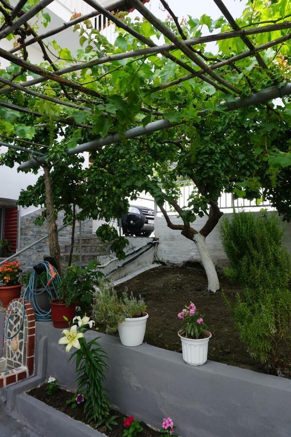 נאוס מרמרס Anastasia' S Guest House מראה חיצוני תמונה