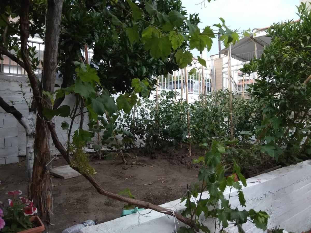 נאוס מרמרס Anastasia' S Guest House מראה חיצוני תמונה